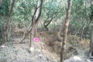 苗栗竹南2歲男童疑遭不當管教致死。(圖/翻攝畫面) ▲苗栗竹南2歲男童疑遭不當管教致死。(圖/翻攝畫面)