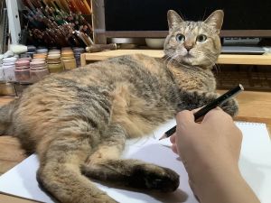 ▲畫家的主子平時很喜歡干擾她工作，是一隻很刷存在感的貓咪。（圖／twitter帳號Yachoo_Seikatsu）