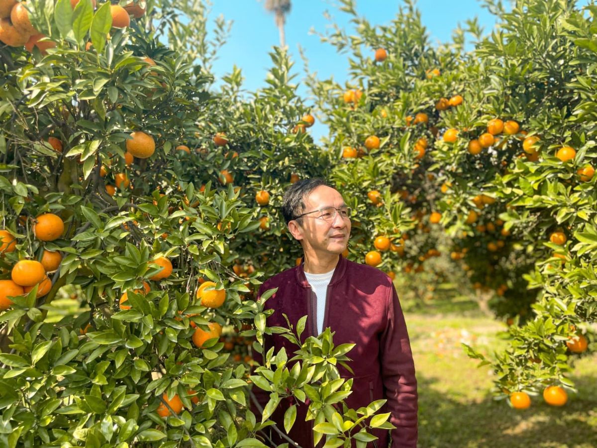 ▲國民黨主席朱立倫取消出席公投發表會，民進黨認為是感受民意轉向，想要臨陣脫逃。（圖／翻攝自朱立倫臉書）