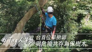 Tag人物/台首位攀樹師　與危險共存為保樹木
