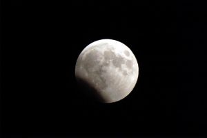 天文迷看過來！今年最後天文景觀月偏食11/19登場
