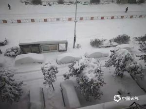 內蒙古降雪「連下46小時」釀白災！積雪深度破70年來紀錄
