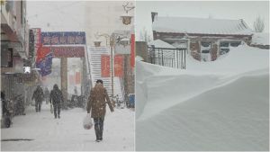 暴雪造成逾5.8萬座農業設施受損！遼寧省促「生產自救」
