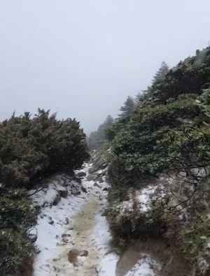 ▲雪山在今（10）日清晨降下入冬以來第一場初雪。（圖／翻攝雪霸國家公園登山資訊分享站）
