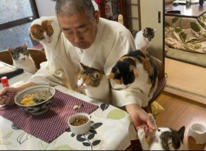 ▲住持每次吃飯，身邊圍繞一堆貓非常熱鬧！（推特帳號nasu_chourakuji）