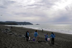 2.6萬噸醫療垃圾全倒海裡!企鵝胃卡口罩、海鳥雙腳受困
