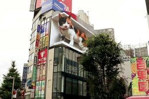 東京出現「巨大三花貓」 與路人互動讓人想大喊卡哇伊! ▲新宿車站附近一棟大樓外牆上,出現一隻「新宿東口貓咪」。(圖/twitter @cross_s_vision)