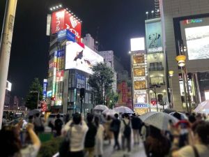 東京出現「巨大三花貓」 與路人互動讓人想大喊卡哇伊! ▲雖然目前「新宿東口貓咪」還在試播階段,卻已經吸引許多路人的目光,而牠也會在7月12日正式啟用!(圖/twitter @cross_s_vision)