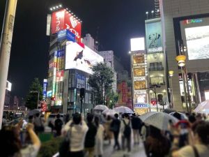 ▲雖然目前「新宿東口貓咪」還在試播階段，卻已經吸引許多路人的目光，而牠也會在7月12日正式啟用！（圖／twitter @cross_s_vision）