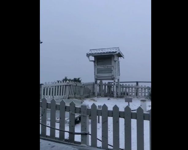 ▲玉山今晨五點下雪，積雪達2公分。（圖／玉山國家公園管理處提供）