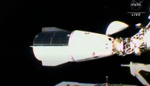 ▲SpaceX11日將4名太空人送上國際太空站。（圖／美聯社／達志影像）