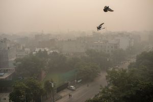 報告：空汙威脅雖減　PM2.5仍年奪歐洲30萬人性命
