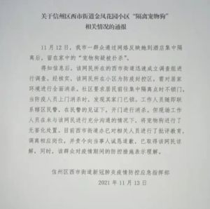 ▲中國一名女飼主隔離期間,家裡的寵物柯基犬卻被防疫人員撲殺,畫面曝光掀起社會憤慨。(圖/翻攝自微博) ▲中國一名女飼主隔離期間,家裡的寵物柯基犬卻被防疫人員撲殺,畫面曝光掀起社會憤慨。(圖/翻攝自微博)