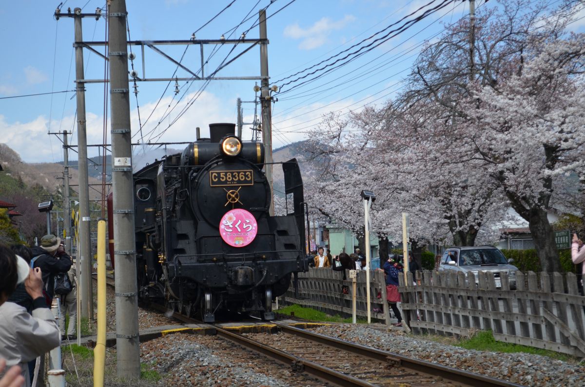 ▲以櫻花為背景拍出SL列車同框的美景。（圖／我傳媒）