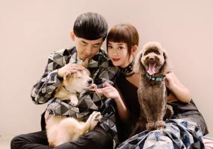 ▲黃子佼飼養柴犬「元氣」18年，細心照料不離不棄。（圖／翻攝黃子佼FB）