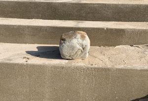 ▲走近一看，才發現只是個像貓咪的石頭。（圖／Twitter：G_AKB）