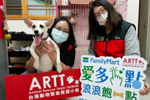 給浪浪過暖冬!從全家App「隨手捐點」:愛心就能換飼料