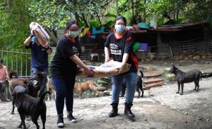 ▲民間非營利動保組織「台灣動物緊急救援小組」成立20多年，至今已捐出超過625萬公斤，超過新台幣2億元的貓狗飼料。（圖／台灣動物緊急救援小組）