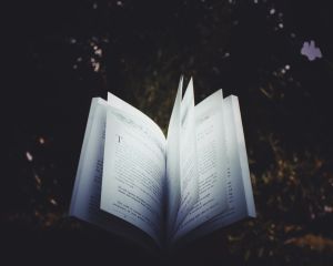 ▲過去便利商店賣的小本恐怖、言情小說也相當受到學生歡迎。(示意圖/翻攝Pexels) ▲過去便利商店賣的小本恐怖、言情小說也相當受到學生歡迎。(示意圖/翻攝Pexels)