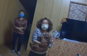 迷途狗爺爺市場逛大街 愛狗警PO網協尋找主人