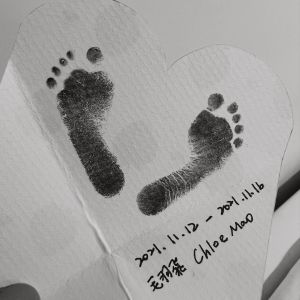 ▲毛加恩女兒早產6個月,出生5天離開人世。(圖/Tiffany臉書) ▲毛加恩女兒早產6個月,出生5天離開人世。(圖/Tiffany臉書)