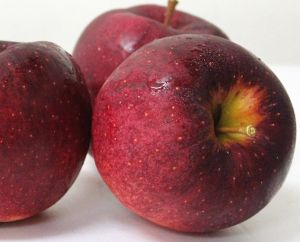「果粉」朝聖!日本蘋果界國王不是富士?六種夢幻等級曝 ▲大紅榮蘋果,售價208元/顆。(圖/遠東百貨提供)
