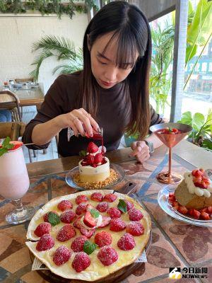 草莓登場季節 「JAI宅」推夢幻草莓餐點融化客人的心 ▲「莓那麼多提拉米蘇」超吸睛,堆疊如小山般的草莓,淋上美味馬茲卡彭醬後,輕輕拉開提拉米蘇的圍邊,紅色醬汁像瀑布般傾洩,超美視覺浪漫又療癒。(圖/記者金武鳳攝,2021.11.23)