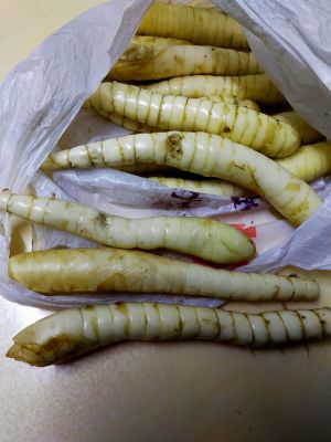 原PO詢問此白色棒狀物究竟為何物?(圖/臉書社團《家常菜》) ▲原PO詢問此白色棒狀物究竟為何物?(圖/臉書社團《家常菜》)