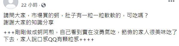 ▲原PO雖然最後還是下鍋煮成蚵仔煎，但自己仍是不敢吃下肚。（圖／取自《爆系知識家》）