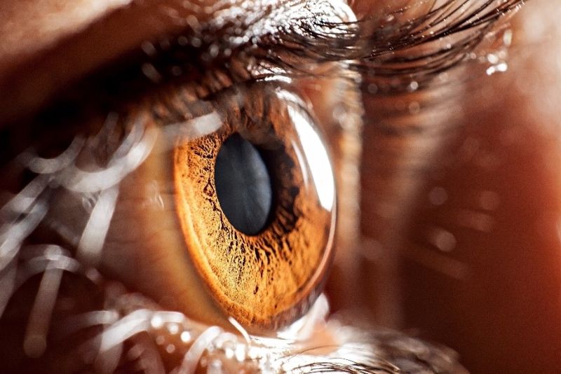 ▲淚膜的穩定可以維持眼睛油脂、水分的穩定度,所以乾眼疾病要主要的治療方式不僅是補水,更重要的是讓淚膜維持穩定。(圖/品牌提供)