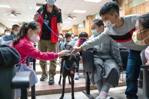 受虐犬現身校園!用親身故事教「飼主教育」:真的不能等