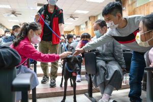 受虐犬現身校園！用親身故事教「飼主教育」：真的不能等
