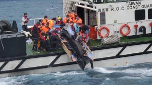 偽虎鯨「亮鯨鯨」野放　蘇澳擱淺成功救回返大海
