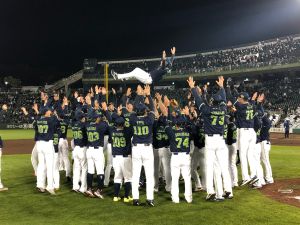 日職/睽違20年!養樂多12局神代打拿日本一