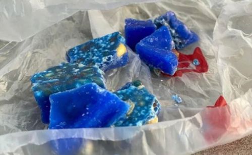 北市府質疑老鼠藥人人買得到　環境部：市府對法治理解有精進空間