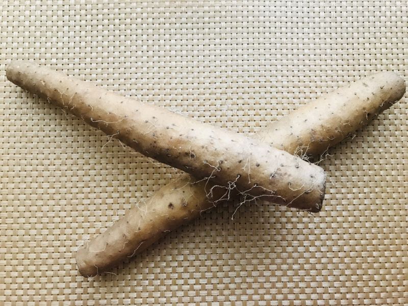 ▲每年10月到隔年2月是台灣國產山藥的主要產季，近期價格已經開始出現下滑。（示意圖／翻攝PhotoAC）