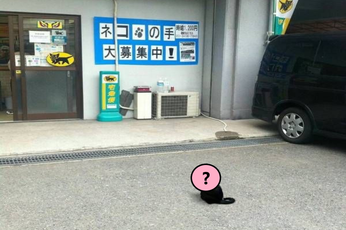 ▲日本一間黑貓宅急便門外站著一隻黑貓，網友一看笑說牠是來應徵的。（圖／twitter帳號Sayonarachan123）