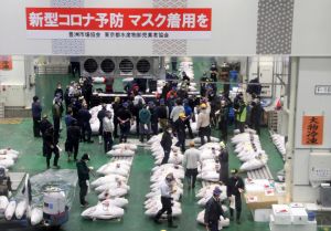 東京豐洲市場鮪魚拍賣實況　時隔約一年開放參觀
