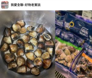 ▲原PO不知從超市買的蛤蜊到底要怎麼樣吐沙才好。(圖/翻攝自《我愛全聯-好物老實說》) ▲原PO不知從超市買的蛤蜊到底要怎麼樣吐沙才好。(圖/翻攝自《我愛全聯-好物老實說》)
