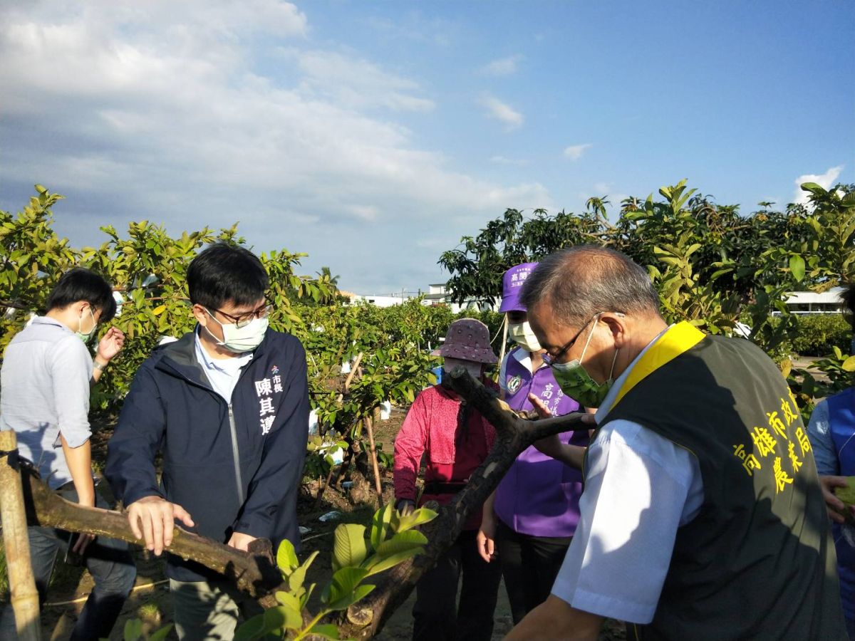 ▲高雄市長陳其邁今(4)日參加杉林區農會「第12屆高雄杉林瓜瓜節」宣布，高雄農產業保險再加碼到3成。（圖／高市府農業局提供）