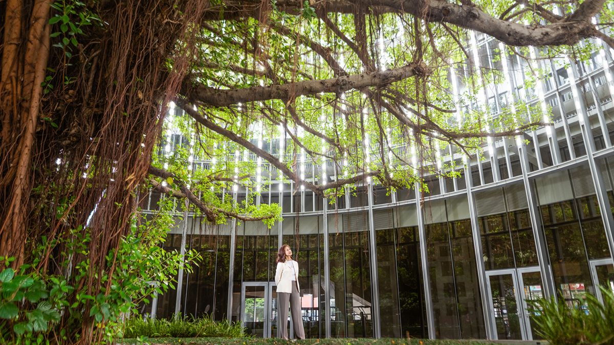 ▲全球人壽副董事長林文惠希望能透過保育老樹的歷史意義，藉由「希望園區」將科技跟人文產生協調性融合，啟發年輕人有更多的創造力。（圖／全球人壽提供）