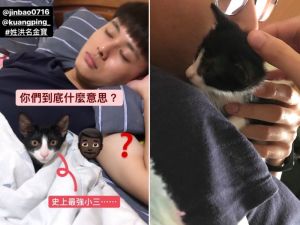 影/小賓士貓幫把拔「窒息式理毛」 貓奴被迫聞菊花香 ▲本來說不准養貓的把拔,現在天天都在和洪金寶膩在一起,在馬麻面前直放閃! (圖/網友洪詩釉提供)