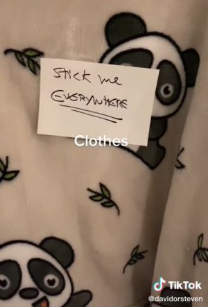 ▲連織品表面都是輕輕一放就「服貼」上去,讓人看傻眼。(圖/取自TikTok) ▲連織品表面都是輕輕一放就「服貼」上去,讓人看傻眼。(圖/取自TikTok)