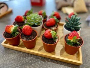 ▲木匠手作草莓盆栽提拉米蘇10入，特價350元。（圖／記者黃韻文拍攝）