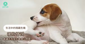 程若芷獸醫師說明毛孩日常可能會遇到的危機。(圖/PetTalk提供) ▲程若芷獸醫師說明毛孩日常可能會遇到的危機。(圖/PetTalk提供)