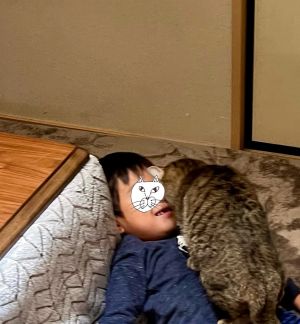 ▲貓咪整隻坐在兒子身上，看起來目前並不打算離開。（圖／Twitter：omochi_nam01）