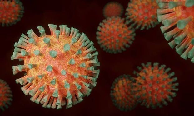 ▲根據《路透社》報導，南非一份最新研究指出，感染Omicron可提升對Delta免疫力。 （示意圖／pixabay）