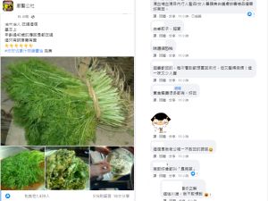 ▲茴香菜吸引不少網友的討論。(圖/翻攝廚藝公社) ▲茴香菜吸引不少網友的討論。(圖/翻攝廚藝公社)