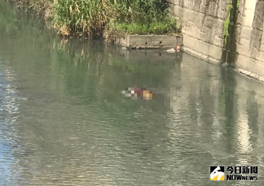 ▲永和無頭屍命案!初步研判死亡約2天。(圖/翻攝畫面)