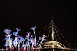 ▲「2022台灣燈會在高雄」最新公布的作品，曾在2019繽紛雪梨燈光音樂節展出的「巨人的夢幻花園Trumpet Flowers」，經過安裝測試後，今日（9）正式登場。（圖／高雄市政府文化局提供）